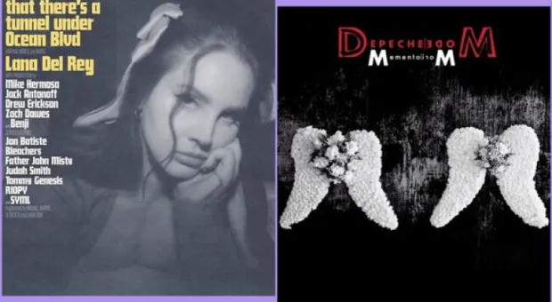 Мировые новости - «Не мамонт», или что нужно знать о курсах блогеров