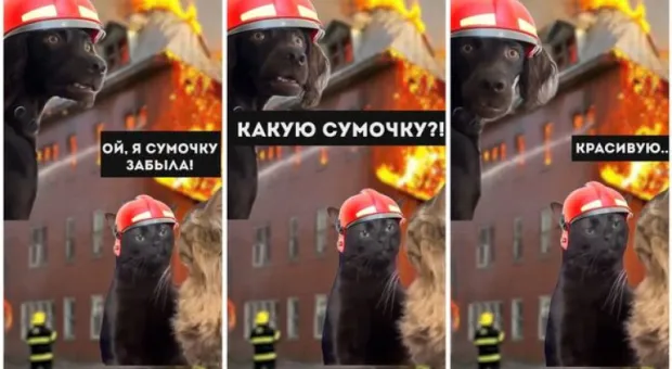 Мировые новости - Неделя моды в Париже 2024: полуголые модели и мода на виноград