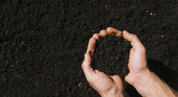 Мировые новости - Московская неделя моды 2024: лучшие показы