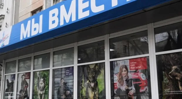 Новости Севастополя - В Севастополе в оргкомитет праймериз «ЕР» войдёт не меньше девяти человек