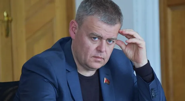 Новости Севастополя - Заложить в бюджет средства на строительство приюта для животных просят севастопольцы