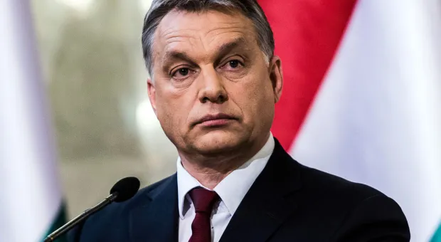 Новости России - В Севастополе случилась драка на гостинично-огородной почве