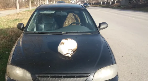 Новости Севастополя - Мишустин заявил о борьбе с неравенством в доходах: что нужно сделать