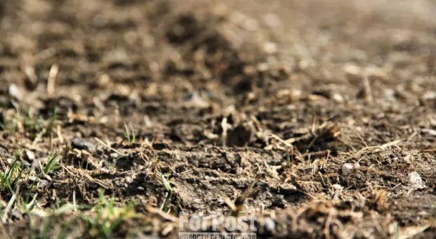 Новости Севастополя - Инициативу ужесточить экспертизу по самострою раскритиковали в Севастополе