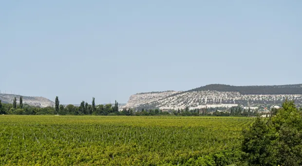 Новости Севастополя - «СР» вернула прежнее название: вернёт ли это прежнего избирателя