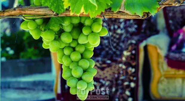 Новости Севастополя - В Севастополе утвердили скромные приватизационные амбиции