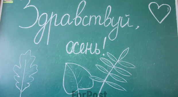 Новости Севастополя - В Севастополе растёт активность избирателей