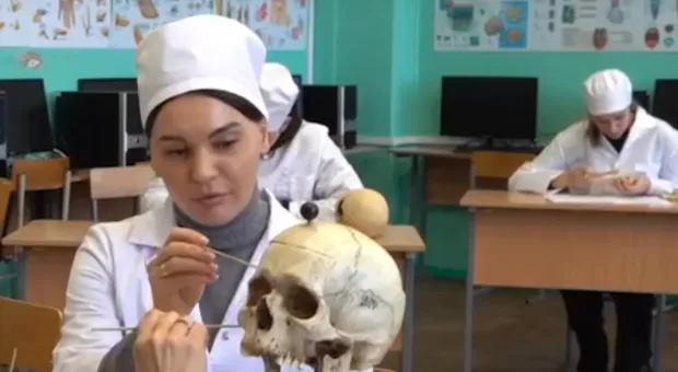 Новости Севастополя - В Севастополе поддержали запрет кормить уличных собак