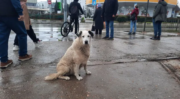 Новости Севастополя - Бюджет хотят пополнить за счёт денег умерших