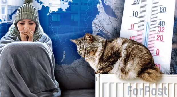 Новости Севастополя - В Госдуме заявили, что рождаемость снижается от хорошей жизни