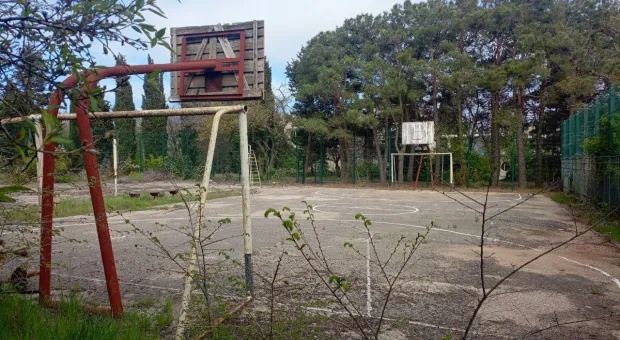 Новости Севастополя - Дни любования глицинией: что посмотреть в Ялте самостоятельно