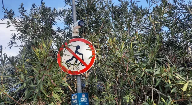 Новости Севастополя - Когда севастопольцы смогут получать зарплату в цифровых рублях