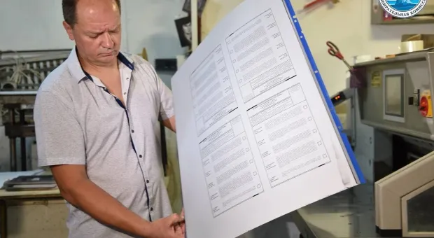 Новости Севастополя - В Севастополе может накапливаться эффект «отложенного выбора»