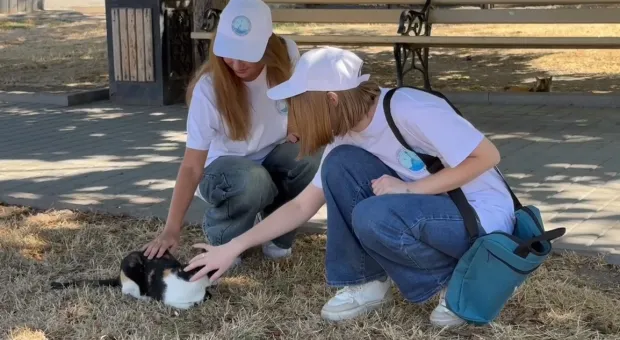 Новости Севастополя - В Севастополе утвердили результаты муниципальных выборов