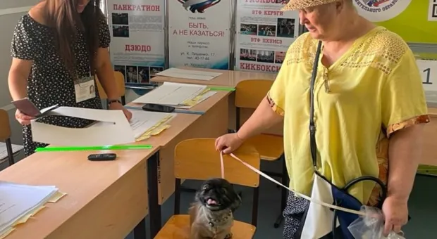 Новости Севастополя - В Севастополе итоги муниципальных выборов были известны ещё три месяца назад