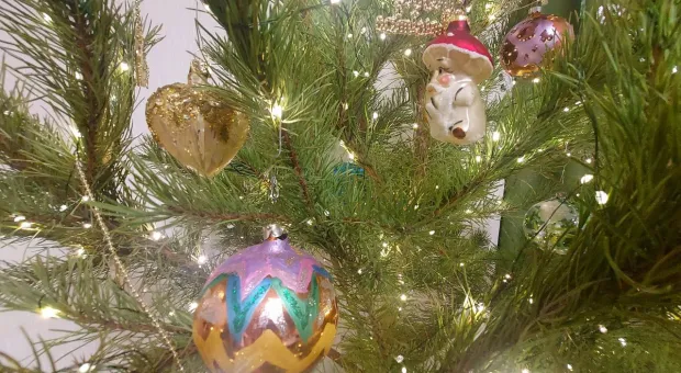 Новости Севастополя - В Севастополе приняли план приватизации