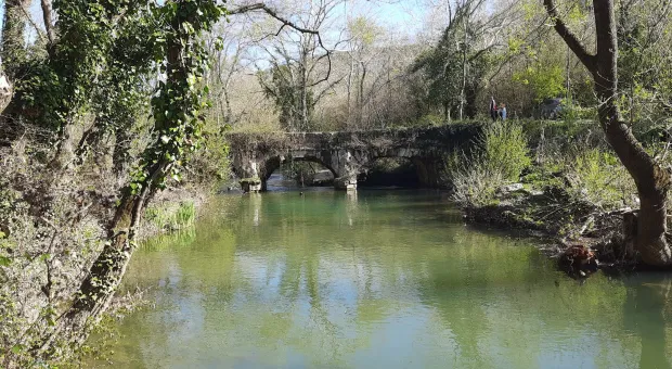 Новости Севастополя - В Севастополе часть партий «не подаёт признаков жизни»