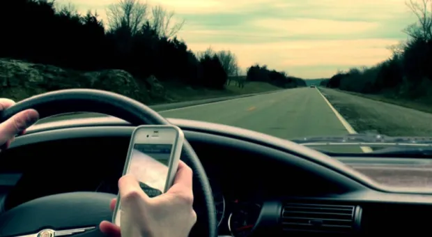 Новости Крыма - Семь охраняемых первоцветов Крыма и Севастополя