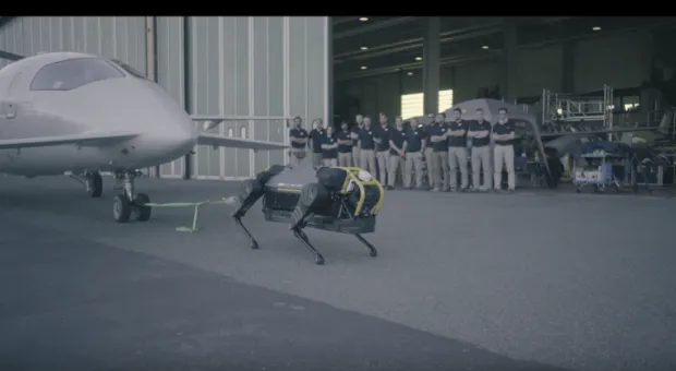 Мировые новости - Робот качественно сделал операцию на позвоночнике