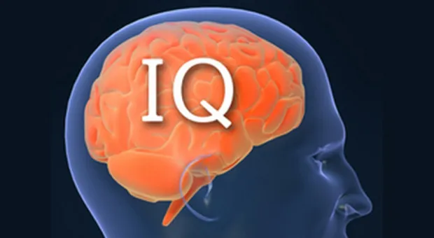 Мировые новости - Шестилетняя девочка заработала на дом стоимостью $8 миллионов при помощи YouTube