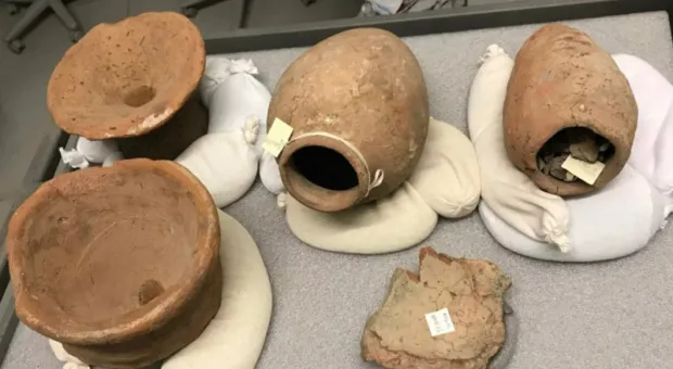 Мировые новости - Учёные определили самые грязные деньги в мире