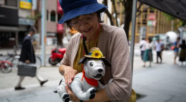 Мировые новости - В России начал работать робот-чиновник