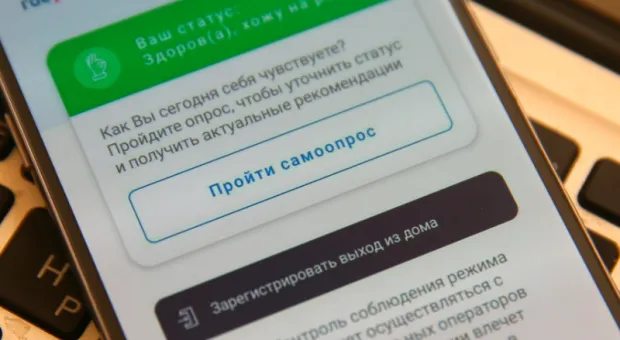 Мировые новости - Подписать трудовой договор теперь можно онлайн через приложение «Госуслуги»