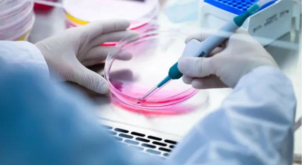 Мировые новости - Почему крымчанам не стоит бояться дефицита лекарств — мнение