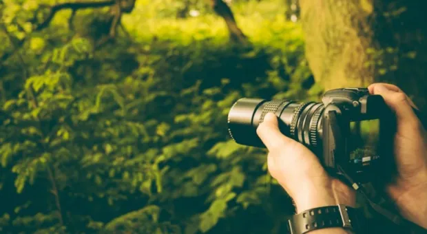 Новости России - Прилепин заявил об «убийстве» своего аккаунта в Instagram