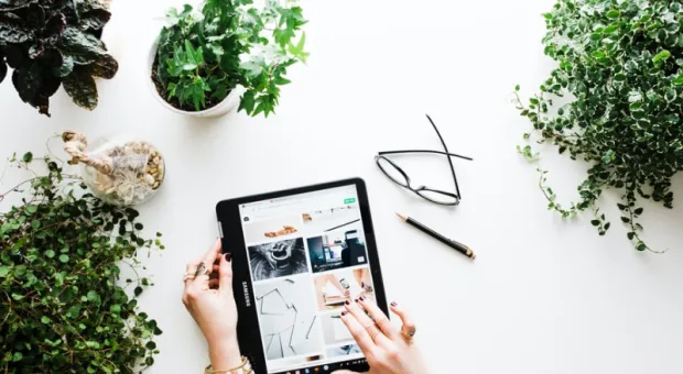 Мировые новости - В России разработали защищенный мессенджер «Колибри»