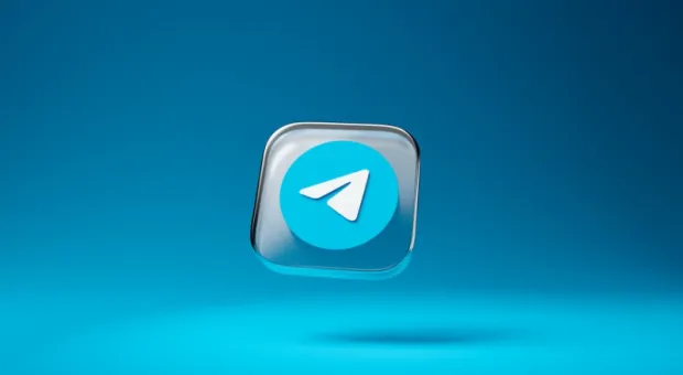 Мировые новости - Появился Telegram-бот для владельцев домашних животных. Он поможет оказать первую помощь питомцам
