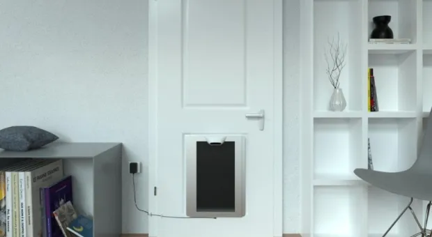 Мировые новости - В России создали кремний из отечественных материалов для выпуска электроприборов