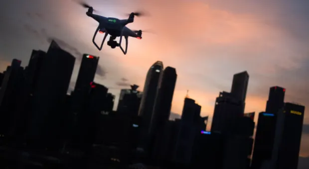 Новости России - Российские ученые разрабатывают новый метод поиска потерявшихся в лесу людей