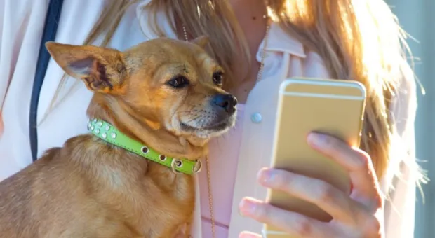 Новости России - Блогер проверил точность шагомера на часах от разных производителей