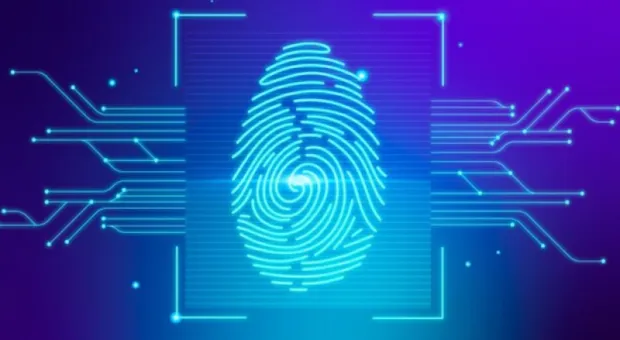 Новости России - В «Госуслуги» встроят аналог ChatGPT