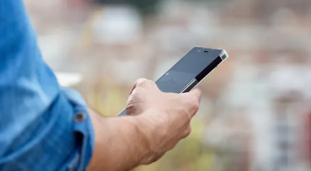 Мировые новости - В России создали умный ошейник для кошек