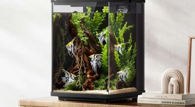 Мировые новости - Xiaomi выпустила «умные» гантели