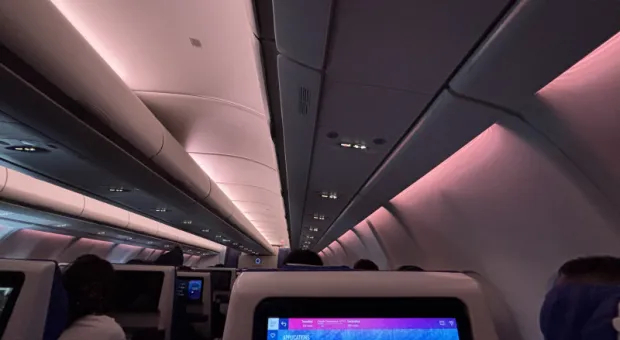 Новости России - Молодёжь придумала новый безумный способ, как есть солёные огурцы