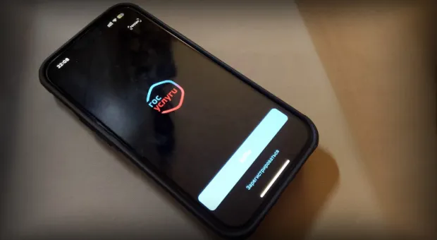 Мировые новости - И жили они долго и счастливо… на «Госуслугах»