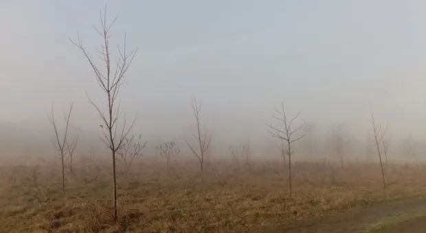 Новости России - В севастопольской Голландии сойдутся Росатом, ОСК и Курчатовка