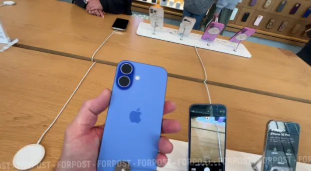 Новости России - В приложении «Честный знак» появилась карта магазинов с рейтингом контрафакта