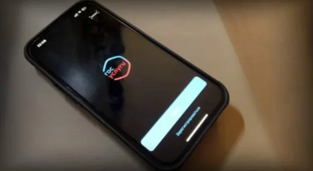 Мировые новости - «Вы, Милявская, дура»: Лолита попалась на элементарную уловку мошенников