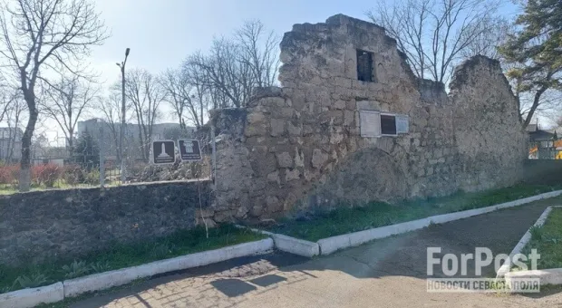 Красивые необычные цветы привлекли внимание туристов в Крыму