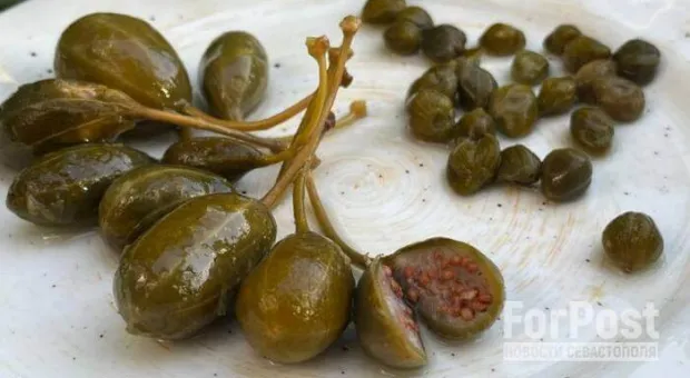 Что посмотреть в Симферополе: музей Крымской железной дороги