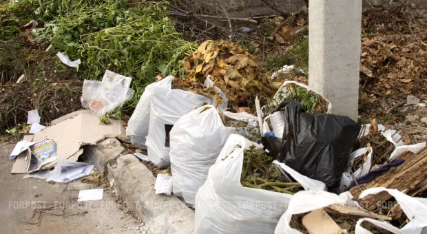 Новости Севастополя - Из-за прорыва канализации на части Севастополя меняют землю и выкачивают колодцы 