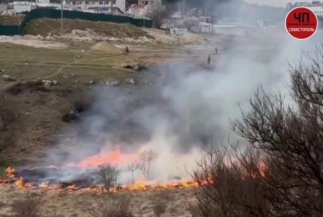 Массовый пожар в Севастополе: подростки устроили огонь у 5-го километра
