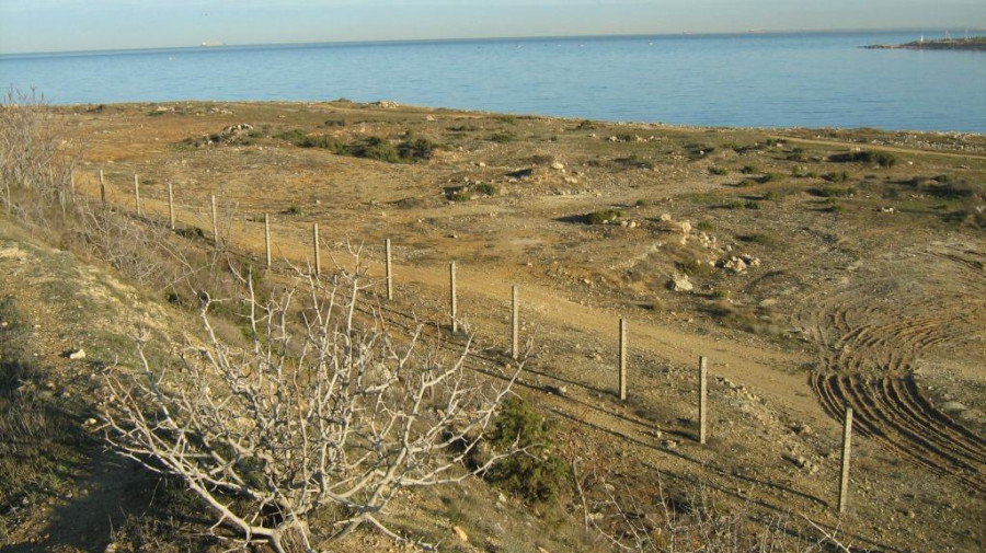 ForPost - Новости : Руководитель Севнаследия ответил на запрос об археологических находках на «Солдатском пляже»