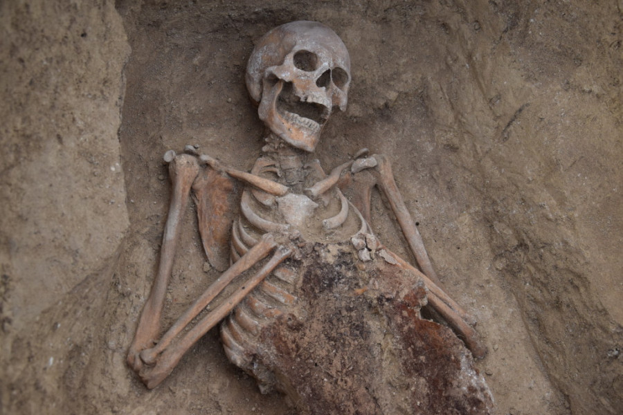 ForPost - Новости : Под «Тавридой» нашли сотни скелетов