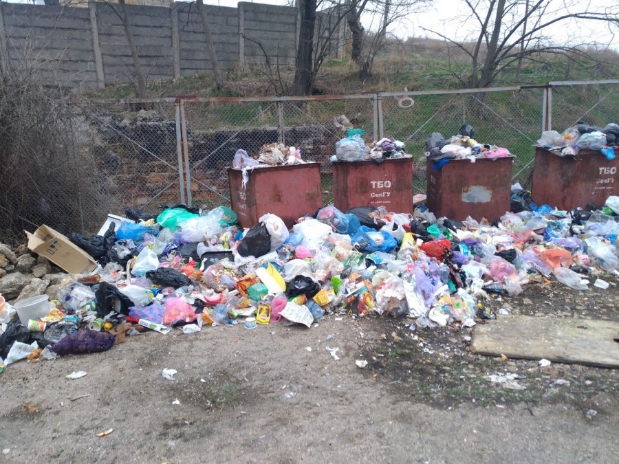 ForPost - Новости : СевСети #407. Чёрт из моря и Голландия в мусоре