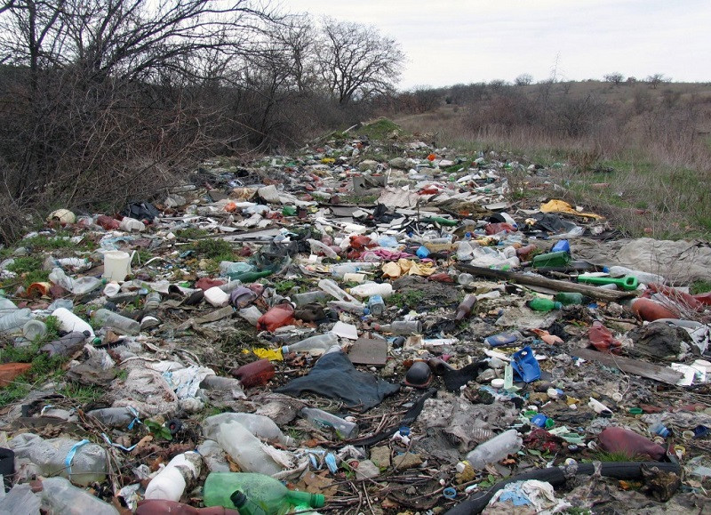 ForPost - Новости : Севастополь в десятке регионов с плохой экологической обстановкой
